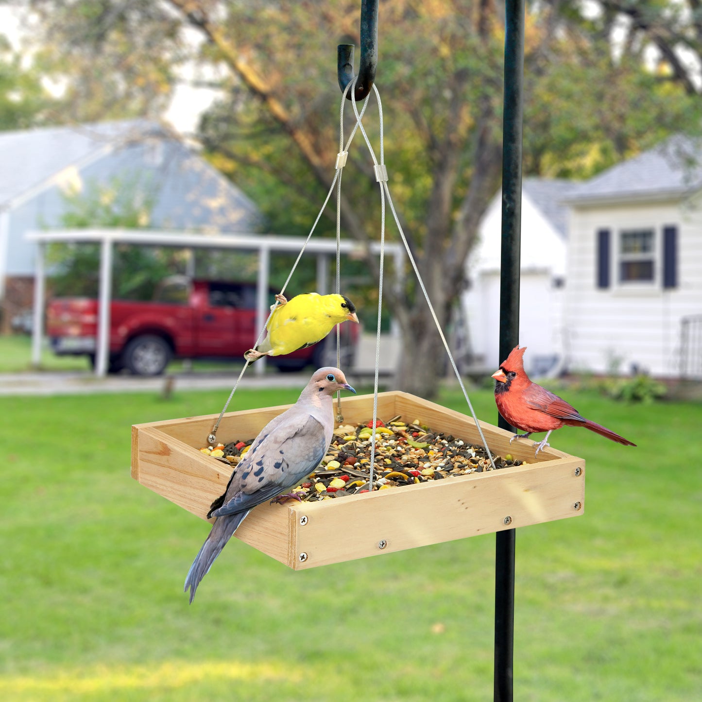 TT Nature Platform Bird Feeder
