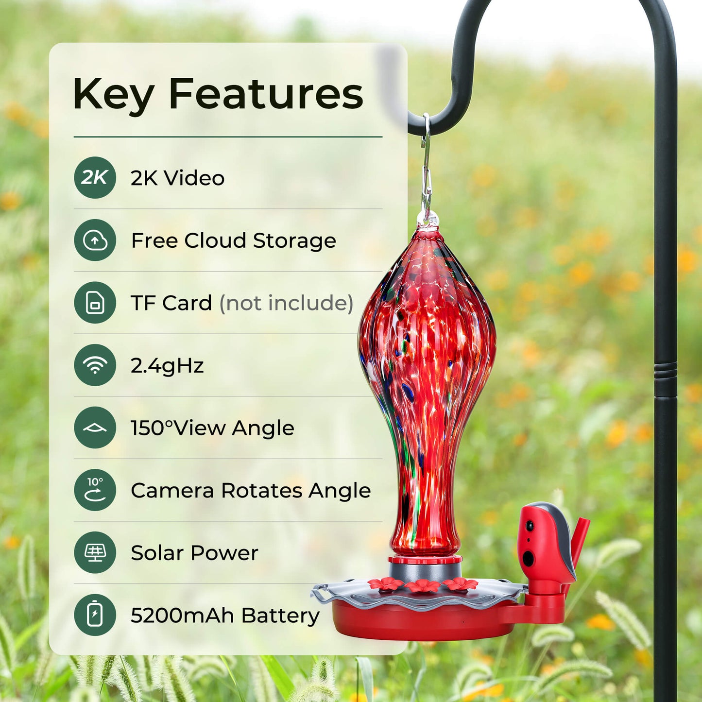 Hummingbird Feeder Pro 4