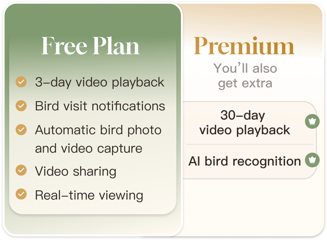 Hummingbird Feeder Pro 4