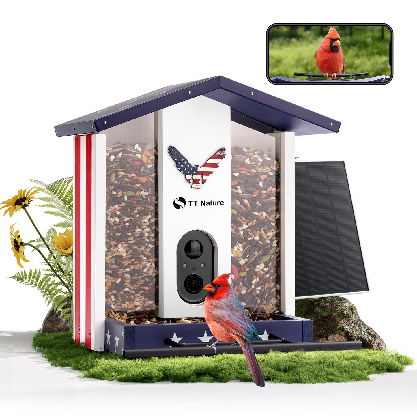 TT Nature National Flag Smart Bird Feeder with Camera