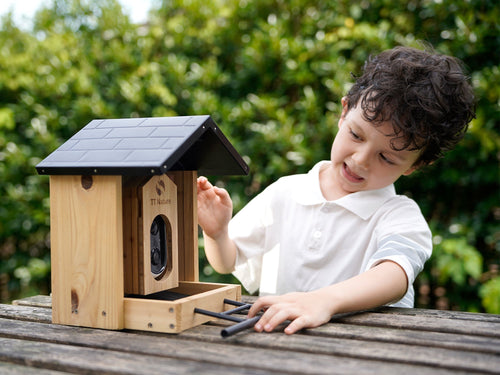 Why a Smart Bird Feeder Is the Perfect Gift for Bird Lovers?