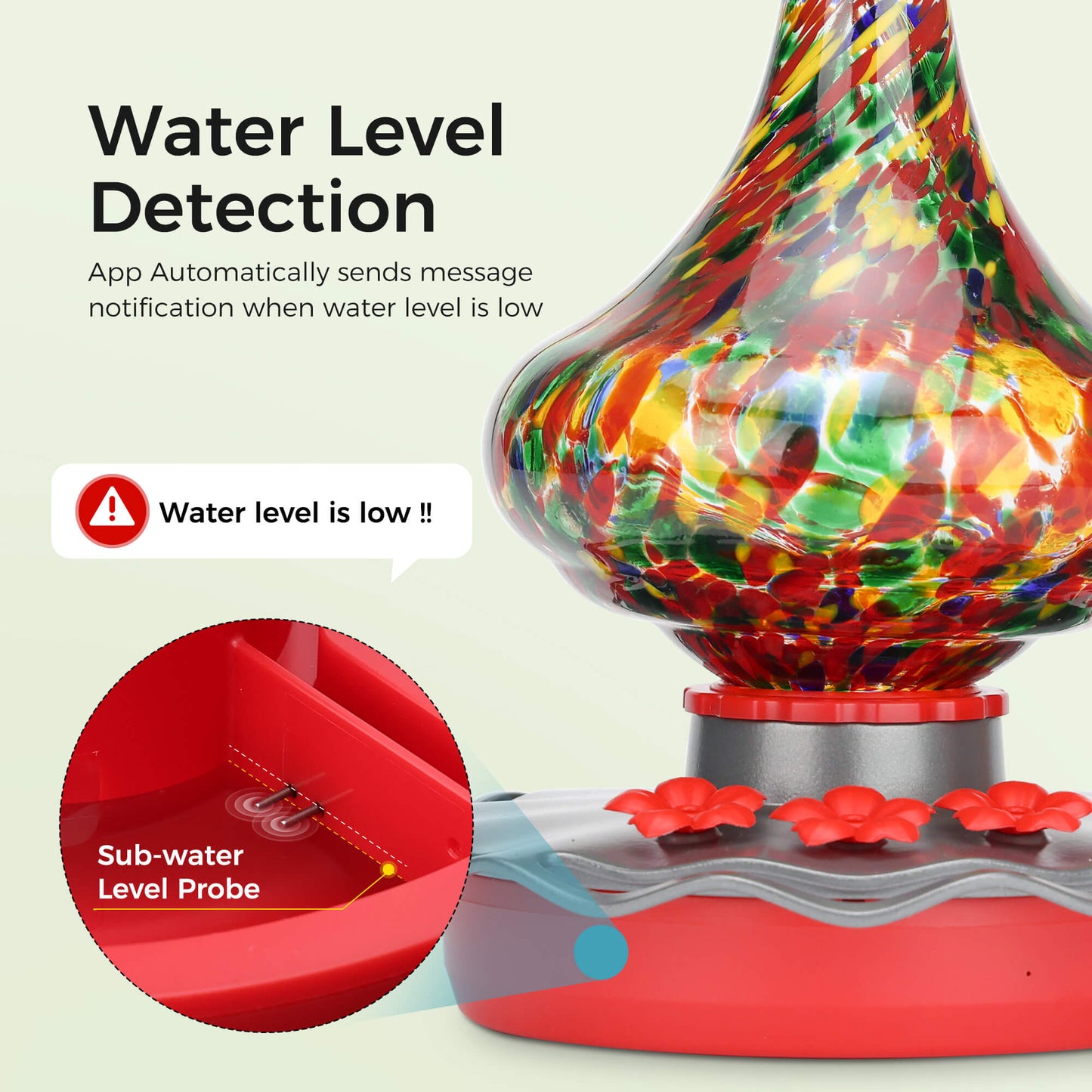 TT Nature Glass Hummingbird Feeder Pro with Camera