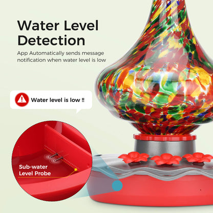 TT Nature Glass Hummingbird Feeder Pro with Camera