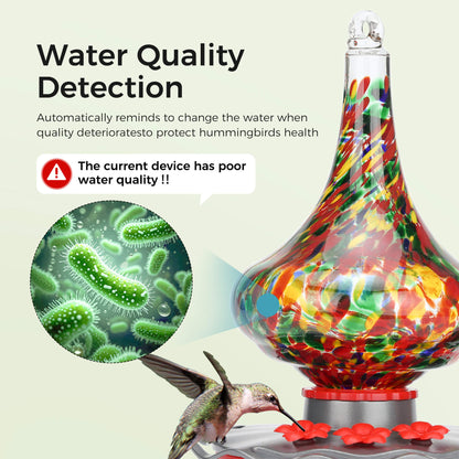 TT Nature Glass Hummingbird Feeder Pro with Camera