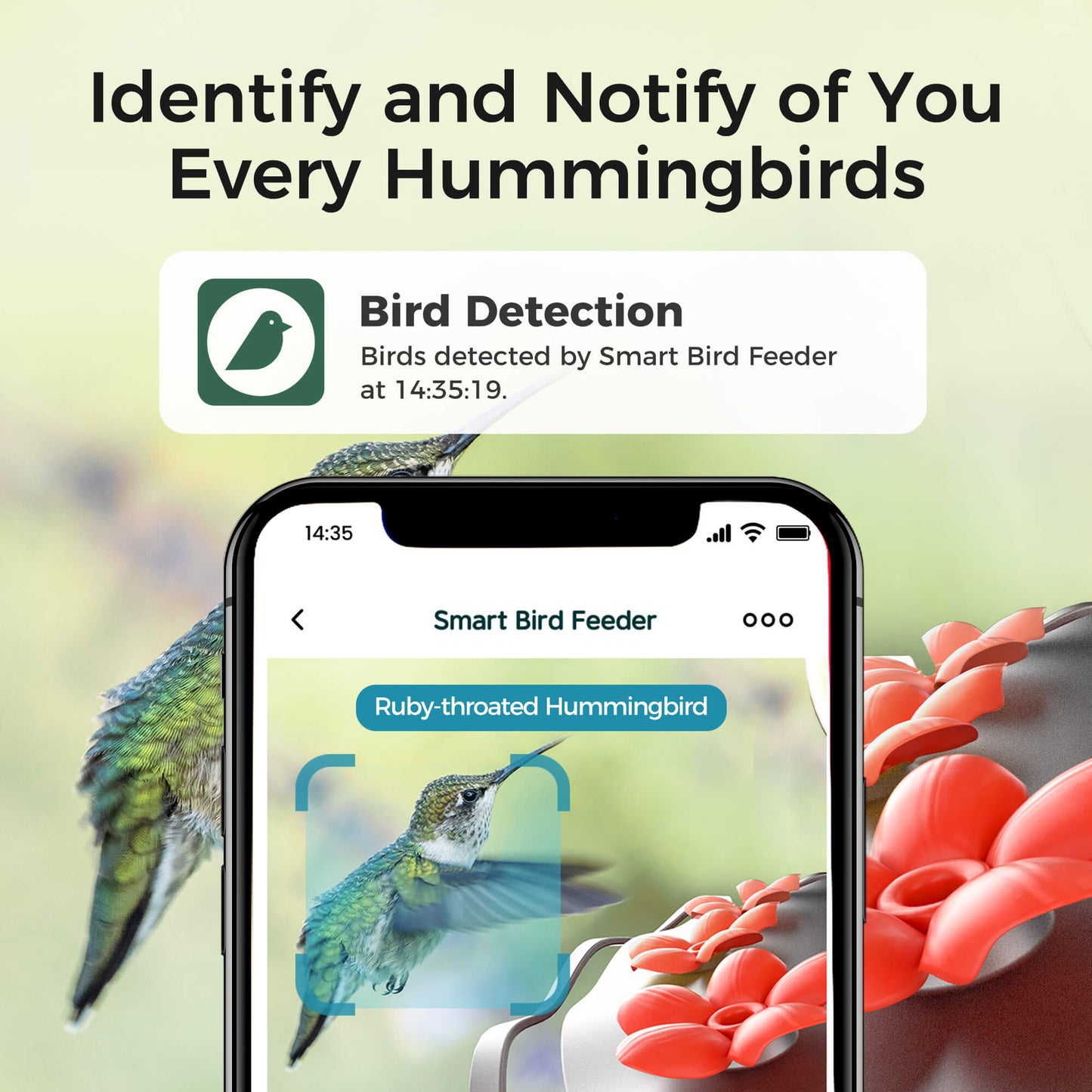 TT Nature Glass Hummingbird Feeder Pro with Camera