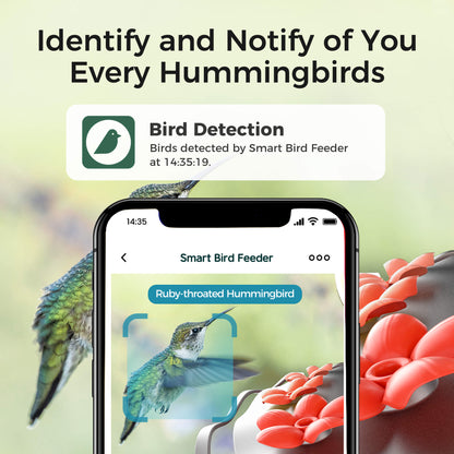 TT Nature Glass Hummingbird Feeder Pro with Camera