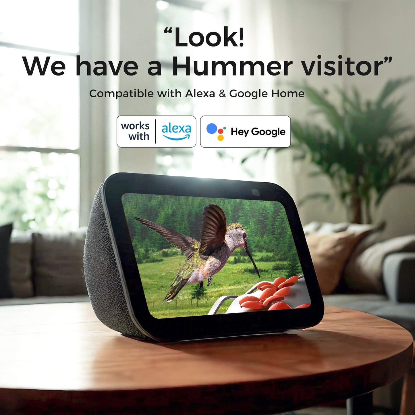 TT Nature Glass Hummingbird Feeder Pro with Camera