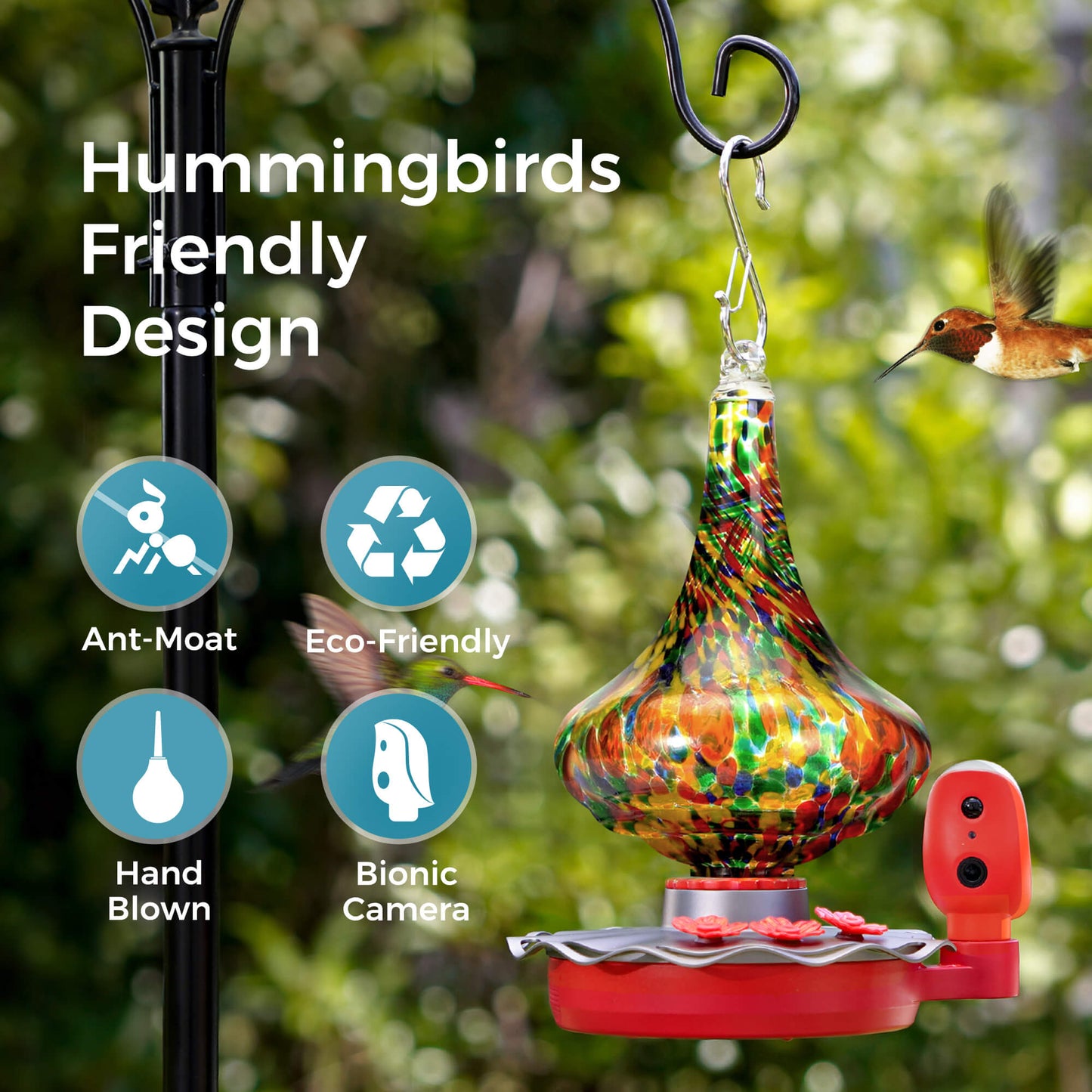 TT Nature Glass Hummingbird Feeder Pro with Camera