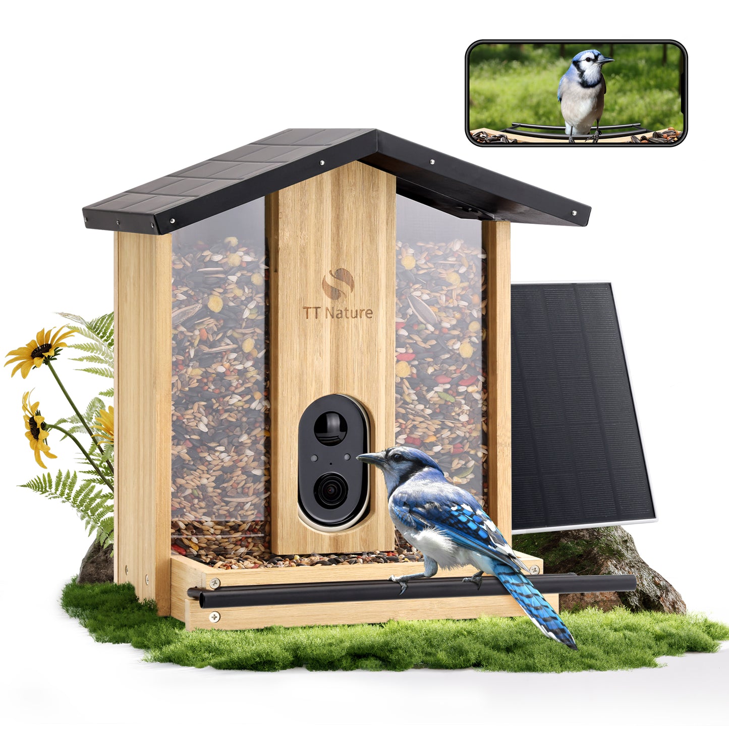 TT Nature AI-Powered Bird Feeder with Camera