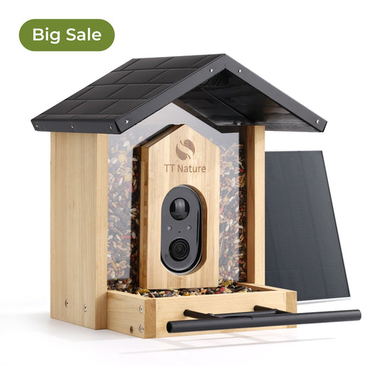 TT Nature Bird Feeder with Camera