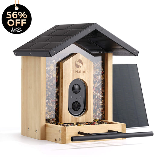 Smart Bird Feeder