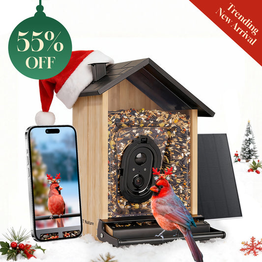 Bamboo Squirrel-Proof Bird Feeder