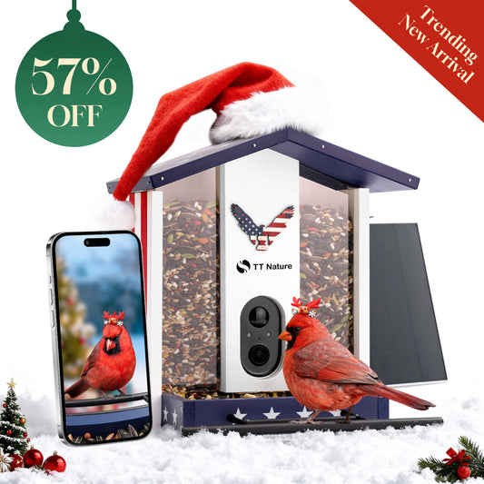 American Flag Bird Feeder