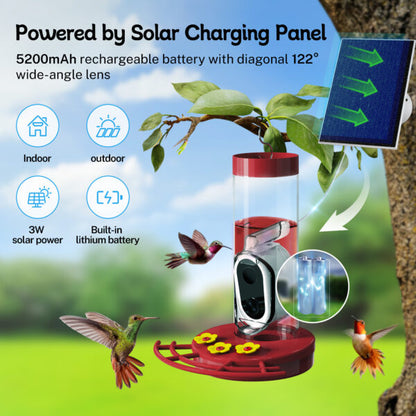 Smart Solar Hummingbird Feeder with AI Camera (20 oz)