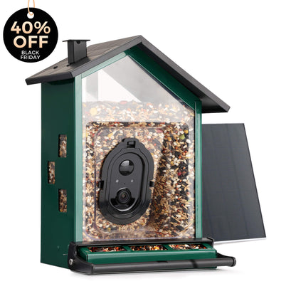 Squirrel-Proof Bird Feeder