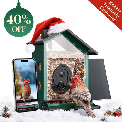 Squirrel-Proof Bird Feeder