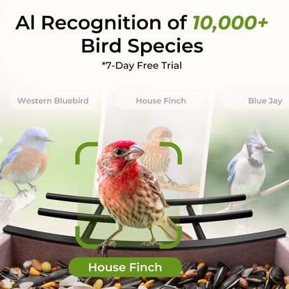 HDPE Bird Feeder 2