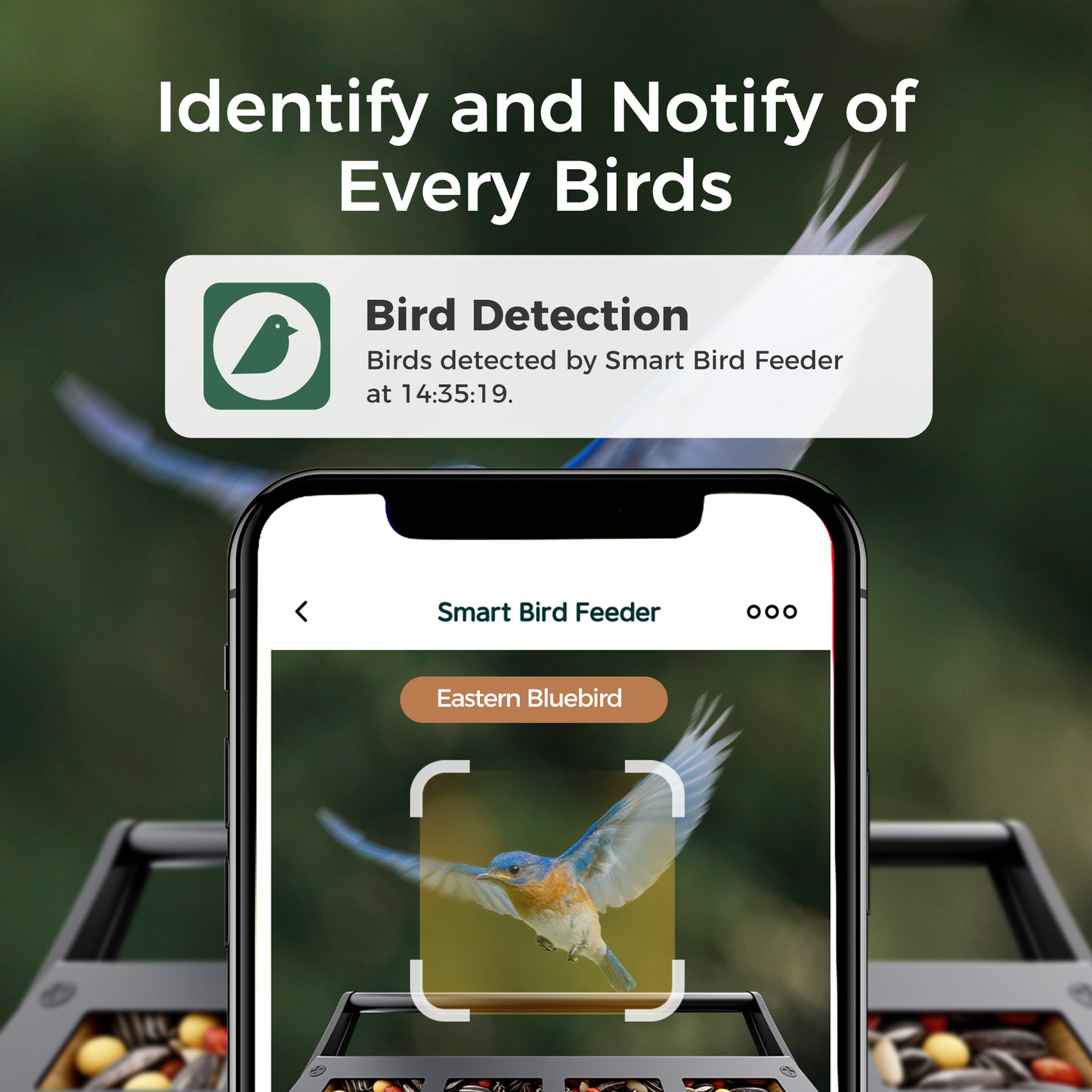 Bamboo Squirrel-Proof Bird Feeder