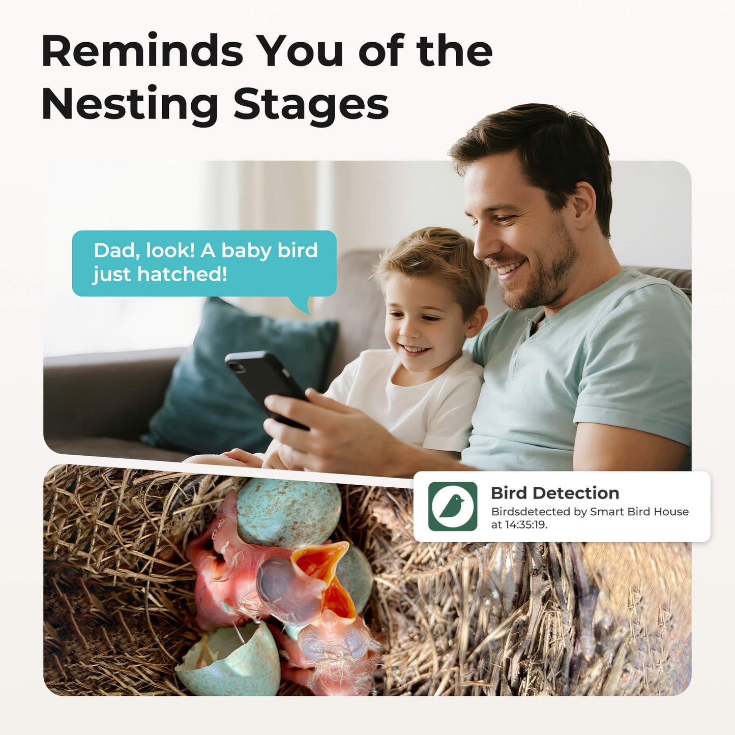 Smart Bird House