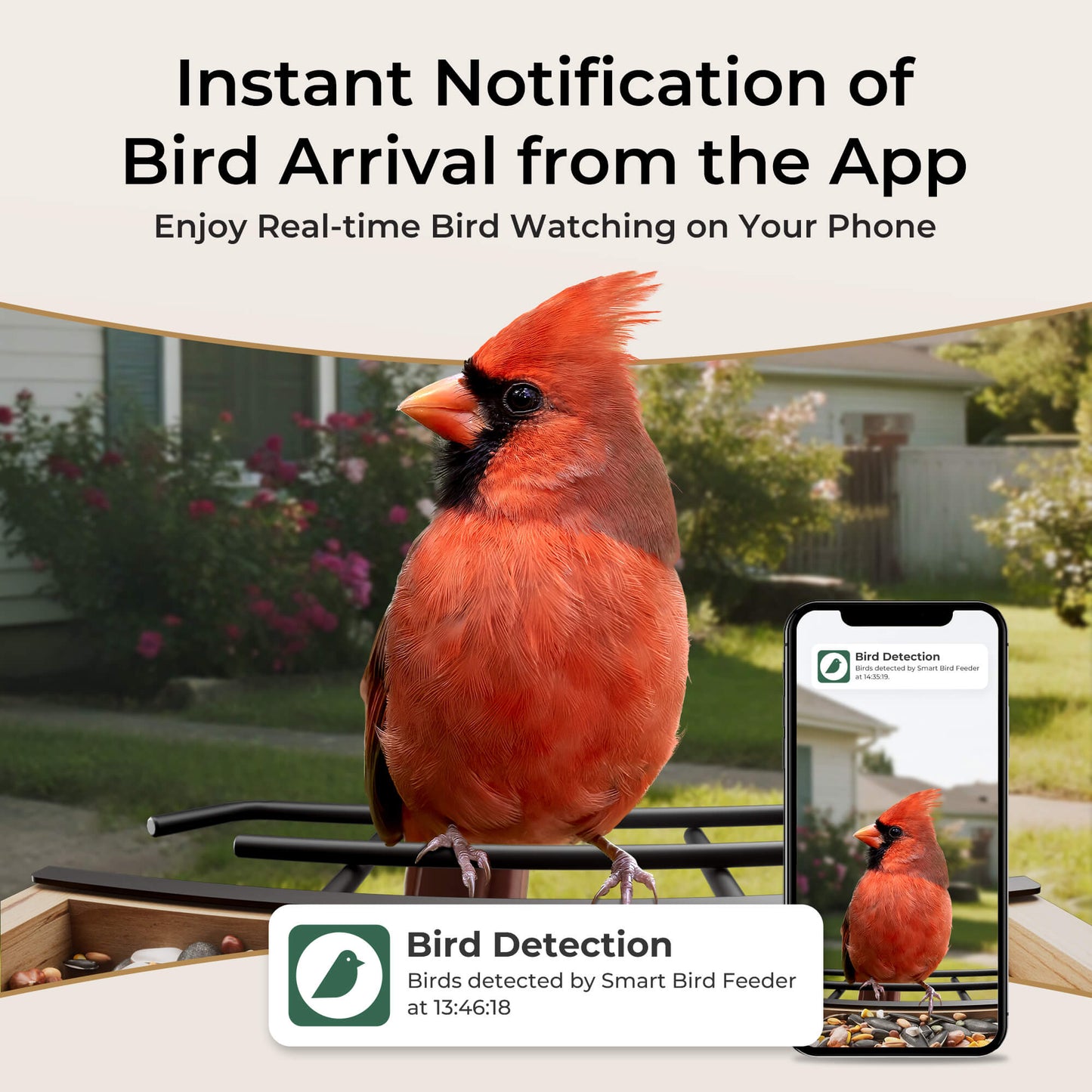 Solar Bird Feeder