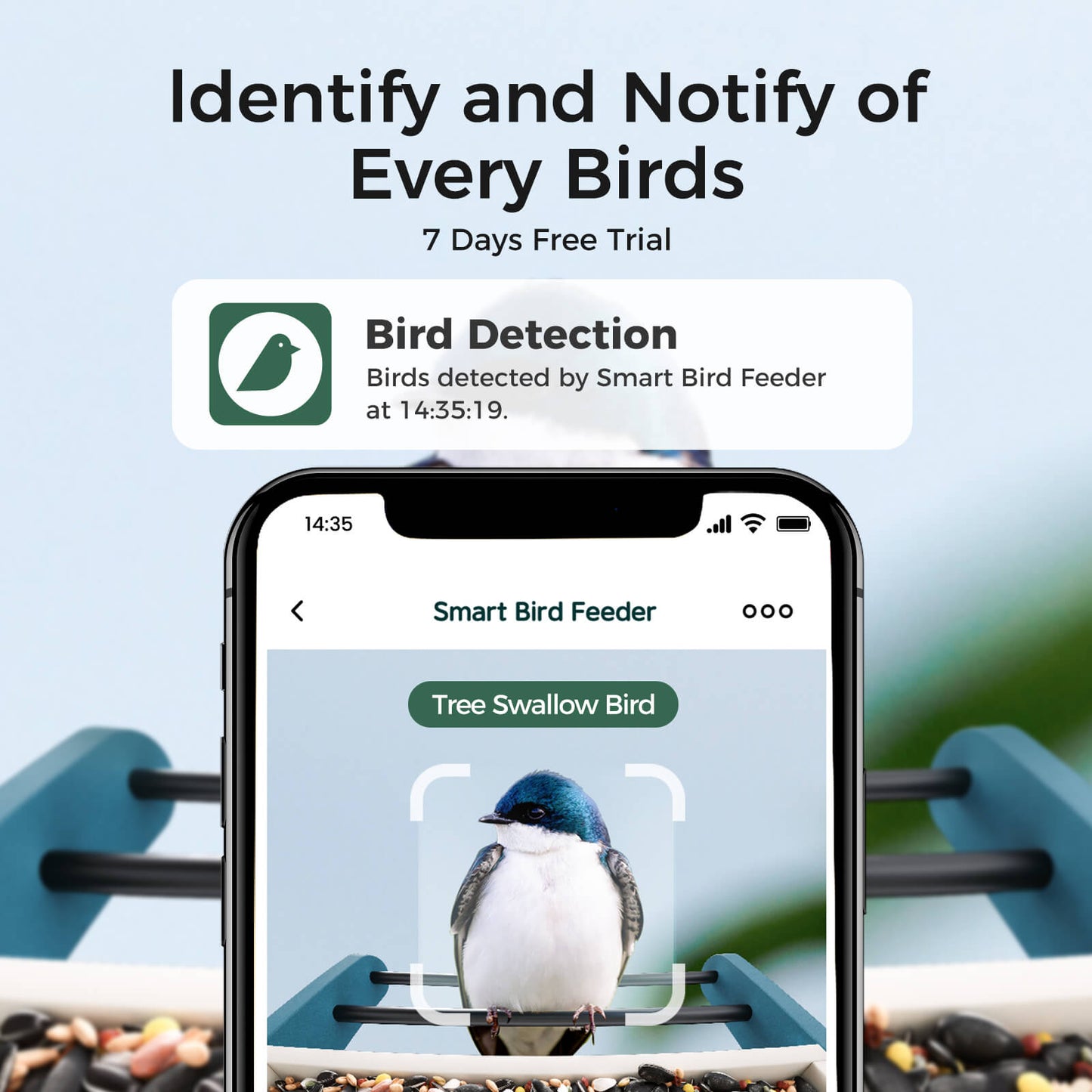 TT Nature Eco-Friendly Bird Feeder with Camera