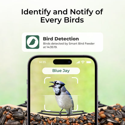 TT Nature AI-Powered Bird Feeder with Camera