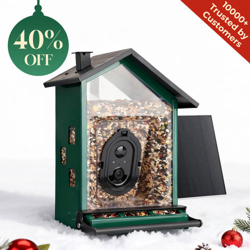 Squirrel - Proof Bird Feeder