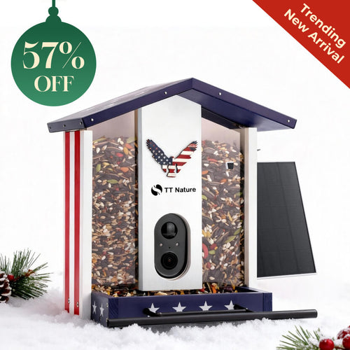 American Flag Bird Feeder