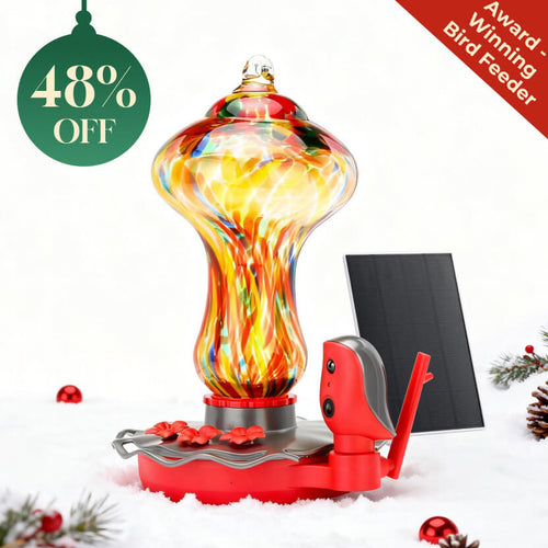 Hummingbird Feeder Pro 2