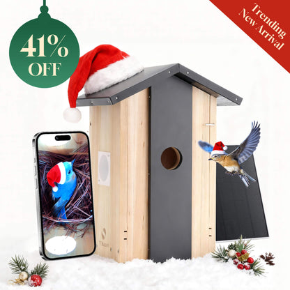 Smart Birdhouse