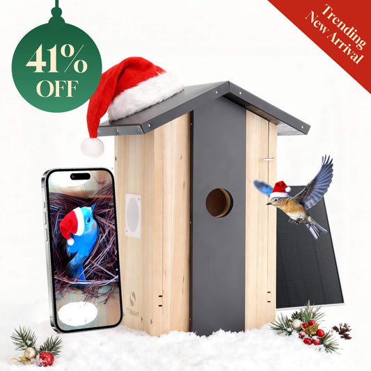 Smart Birdhouse