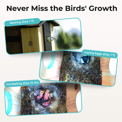 Smart Bird House