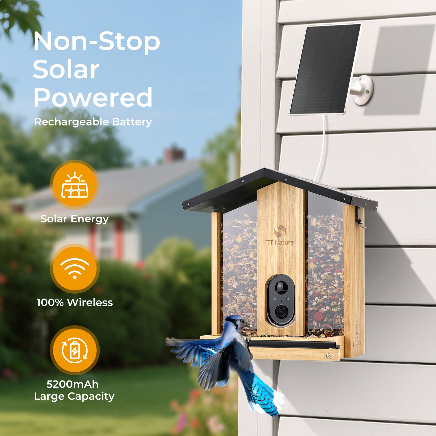 TT Nature AI-Powered Bird Feeder with Camera