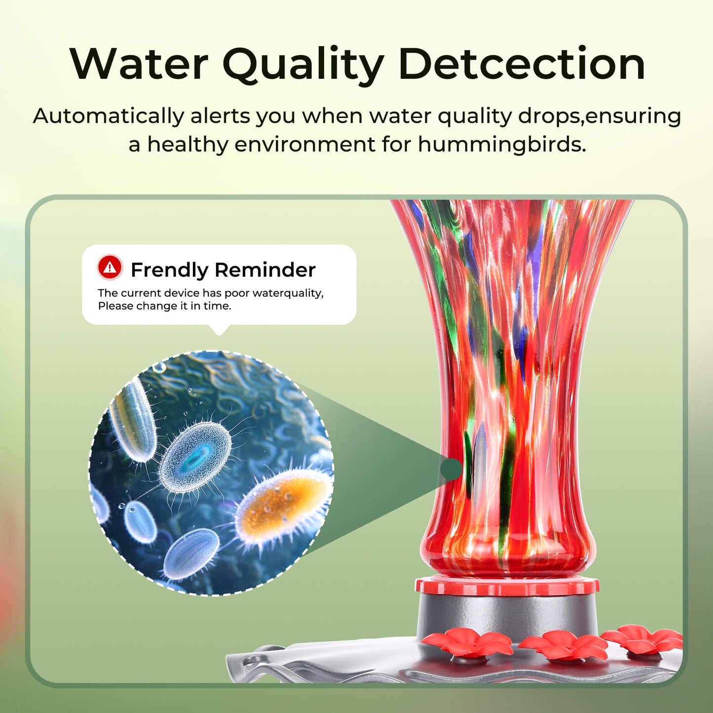 Hummingbird Feeder Pro 4