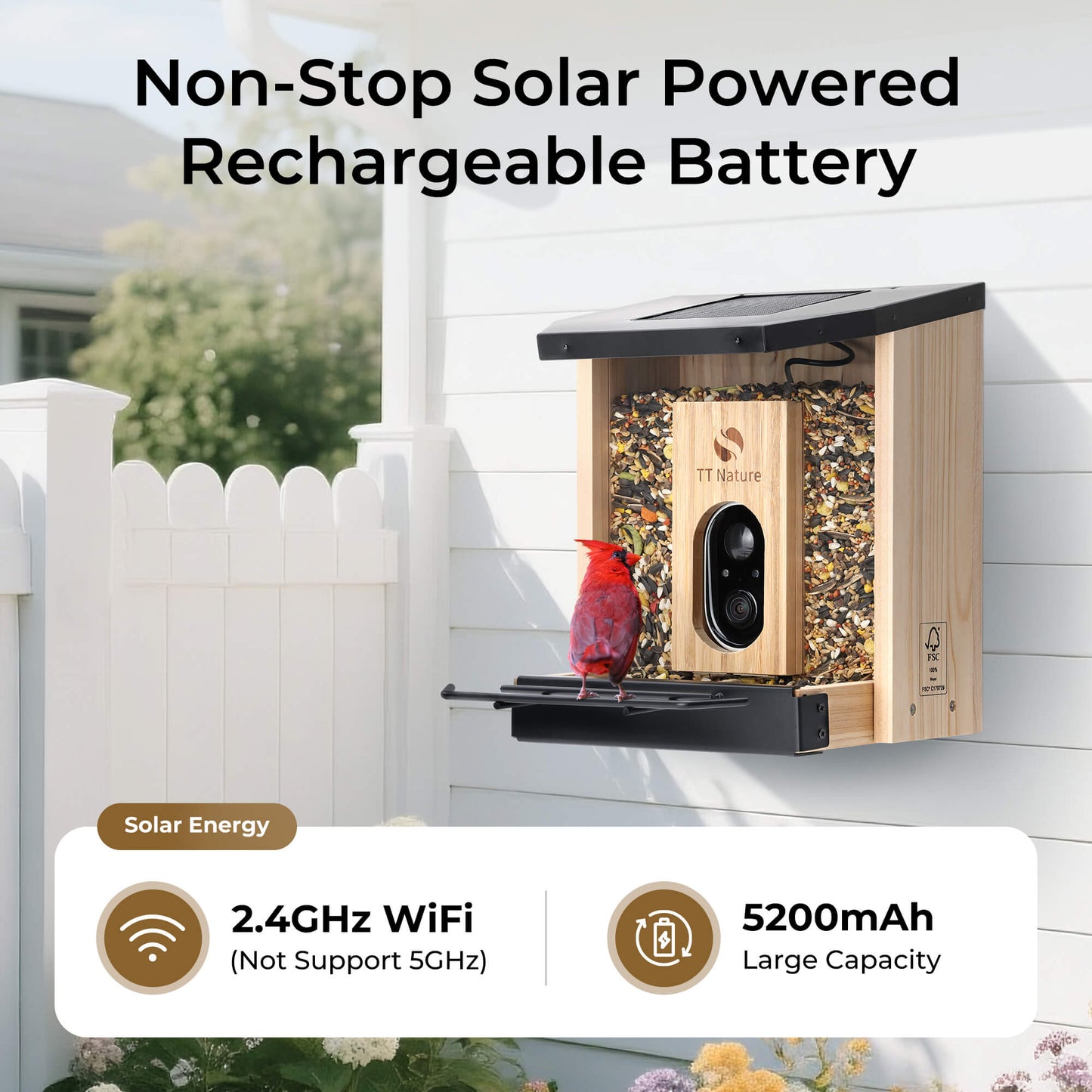 Solar Bird Feeder