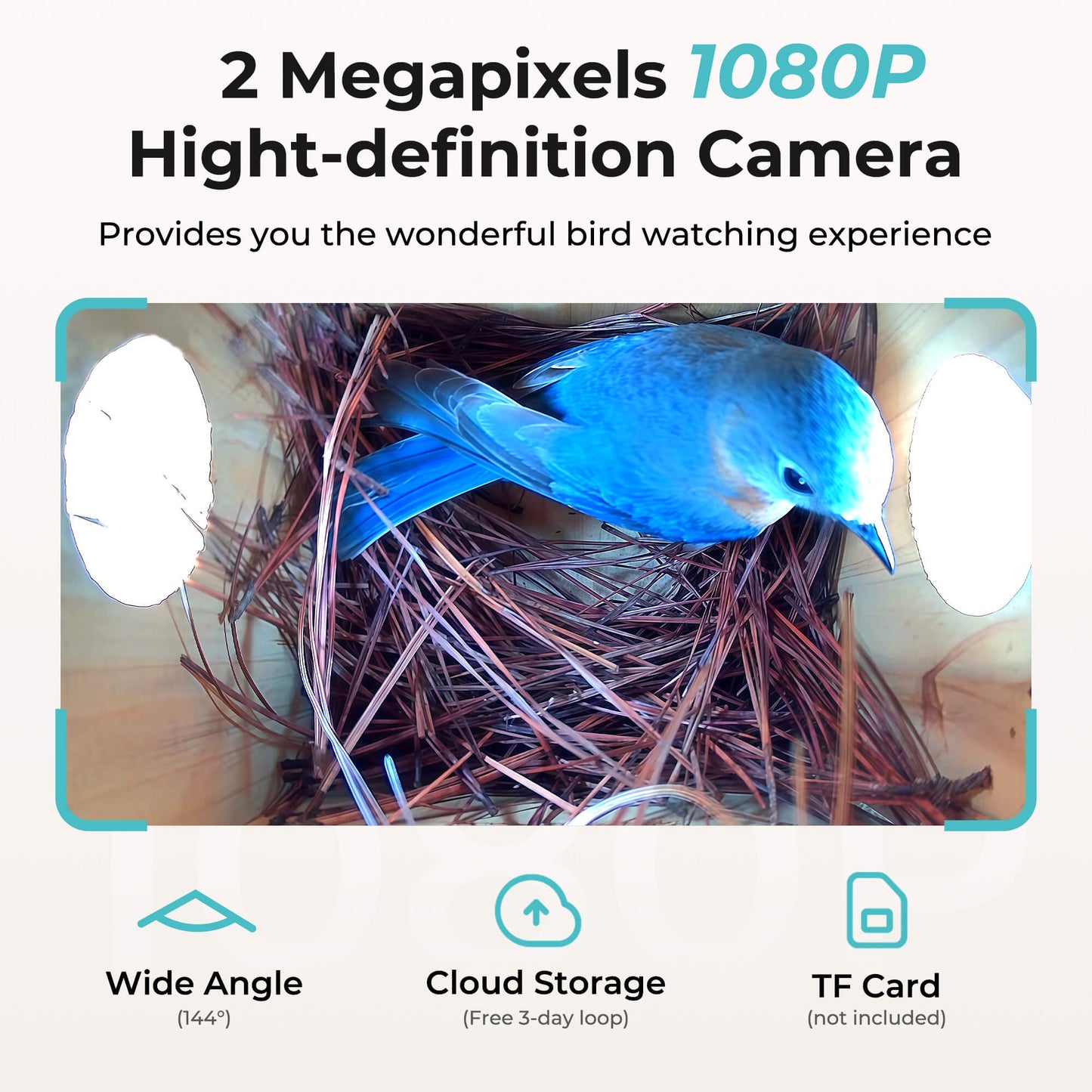Smart Bird House