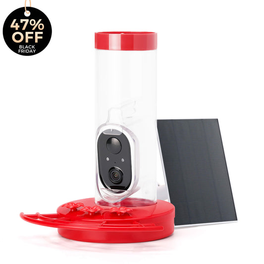 Smart Hummingbird Feeder