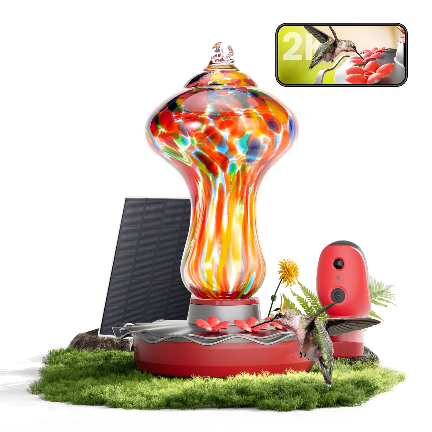 TT Nature Glass Hummingbird Feeder with Camera