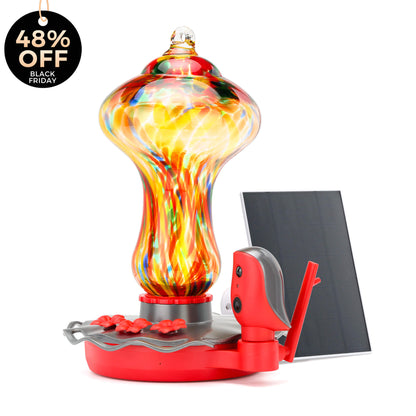 Hummingbird Feeder Pro 2