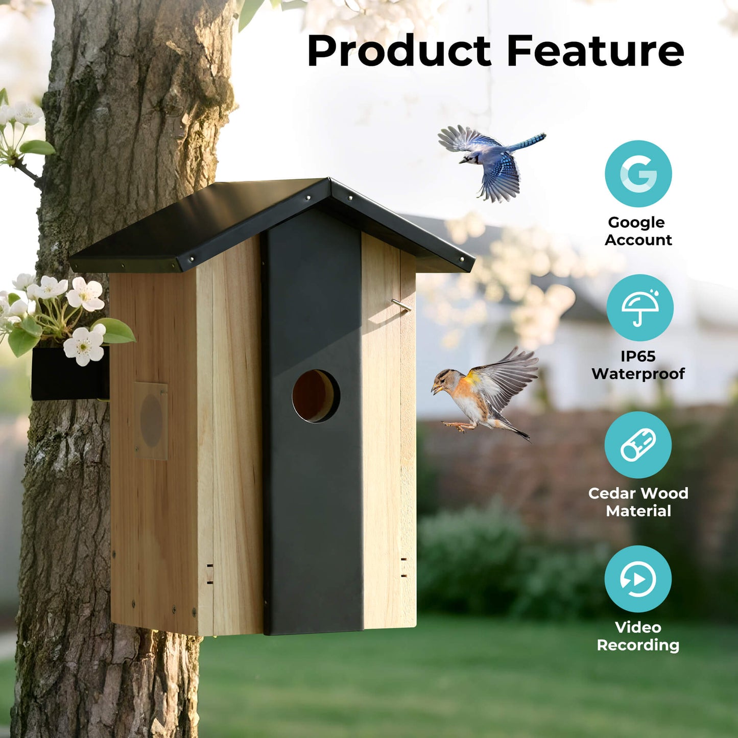 Smart Bird House