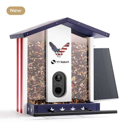 National Flag Bird Feeder