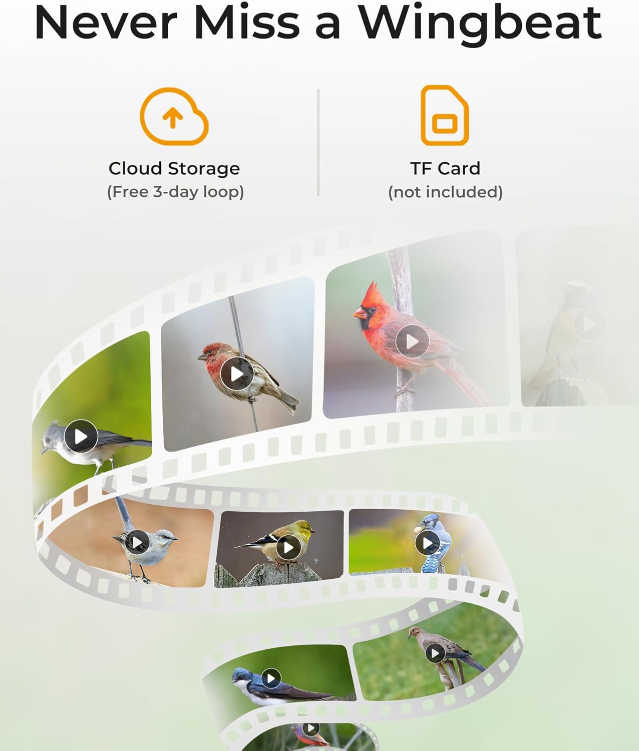 TT Nature Smart Bird Feeder with AI Camera - Ideal Birdwatching Gift for Nature Lovers