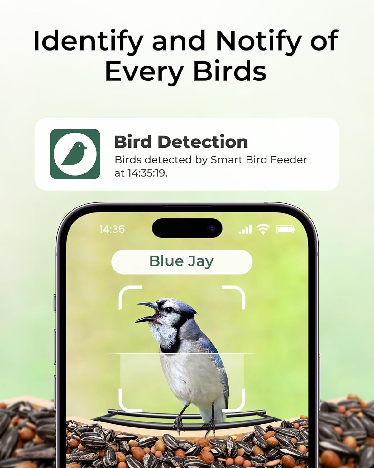 TT Nature Smart Bird Feeder with AI Camera - Ideal Birdwatching Gift for Nature Lovers