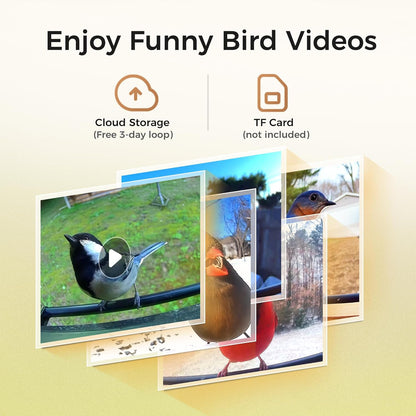 TT Nature Solar Camera Bird Feeder – 2K HD Live Video, AI Bird Recognition & Instant Alerts, Squirrel-Proof, 3.2L Bamboo