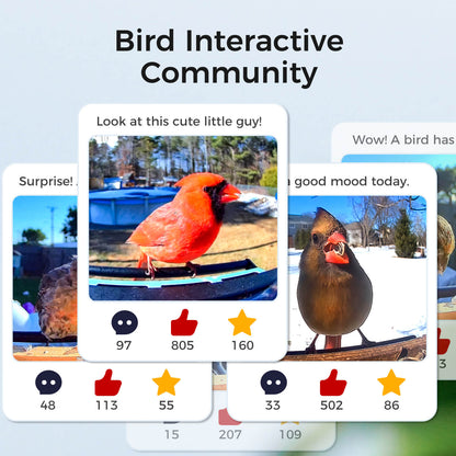TT Nature Eco-Friendly Bird Feeder with Camera