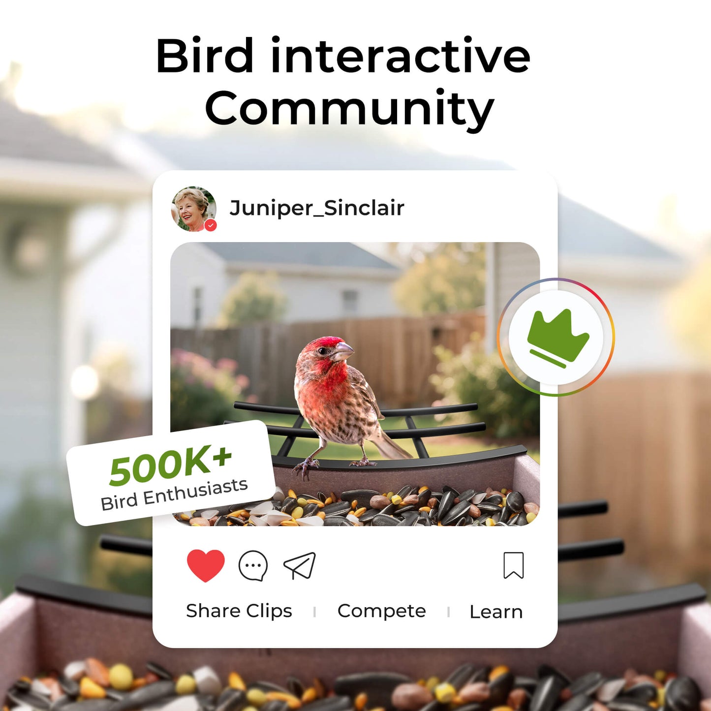 HDPE Bird Feeder 2