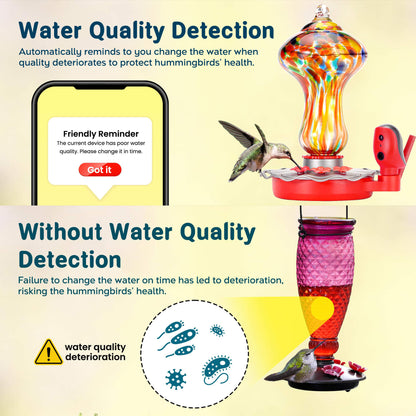 Hummingbird Feeder Pro 2