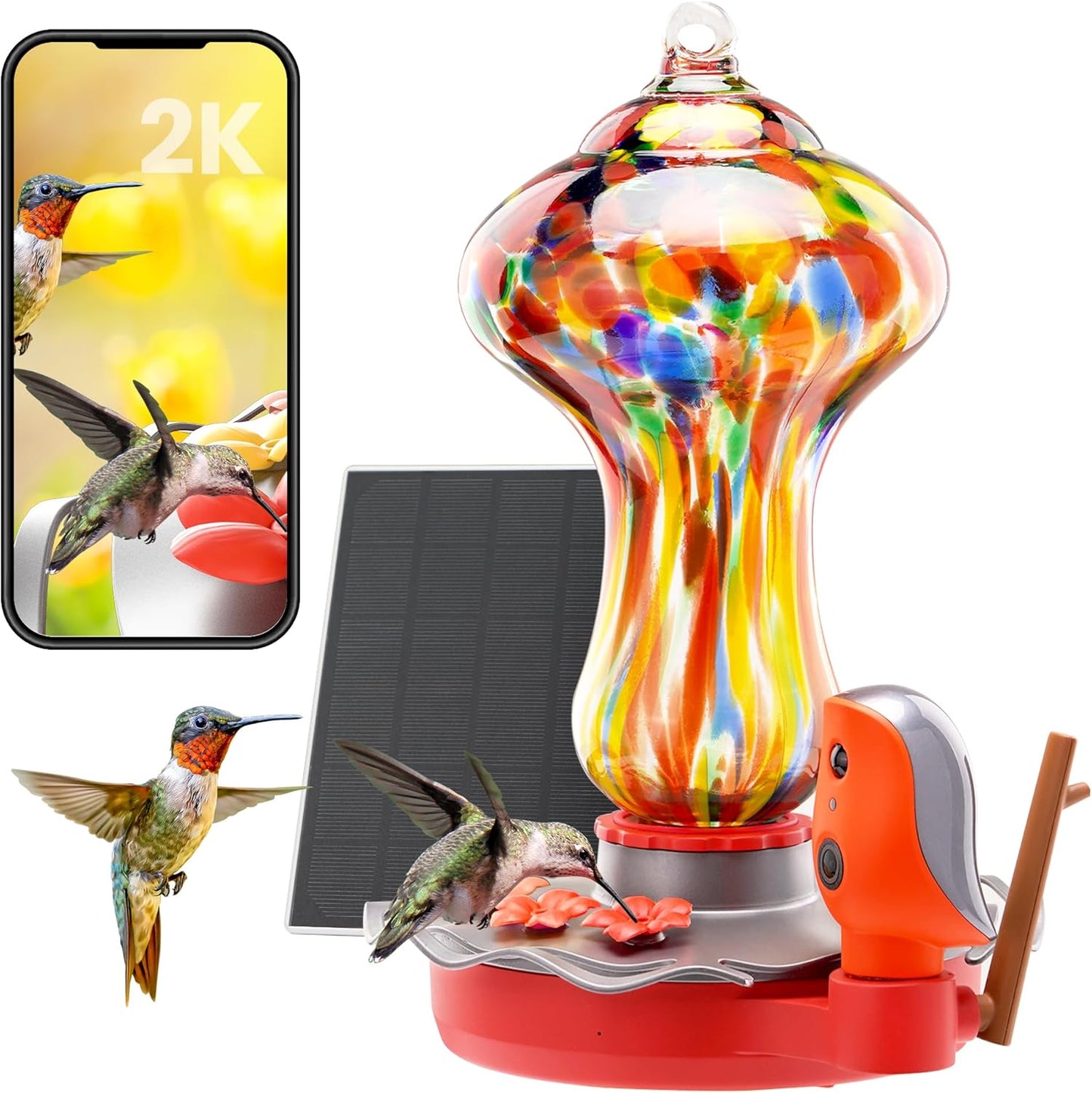 TT Nature Solar Bird Feeder Camera 2K HD, Smart Hummingbird Feeder with AI Bird Identification