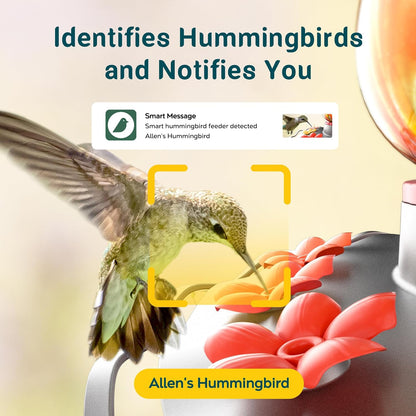 TT Nature Solar Bird Feeder Camera 2K HD, Smart Hummingbird Feeder with AI Bird Identification
