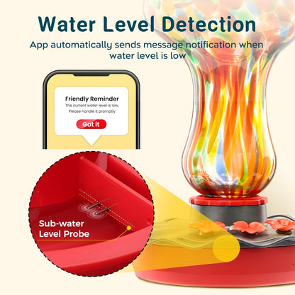 TT Nature Solar Bird Feeder Camera 2K HD, Smart Hummingbird Feeder with AI Bird Identification